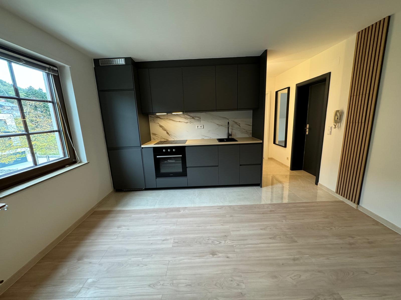 appartement moderne de 1 chambre